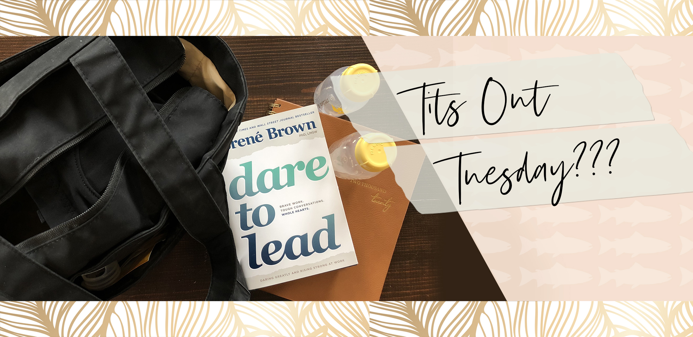 TitsOutTuesdayHeader